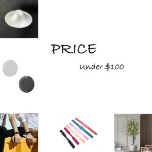 GIFT IDEAS-PRICE-Under $100